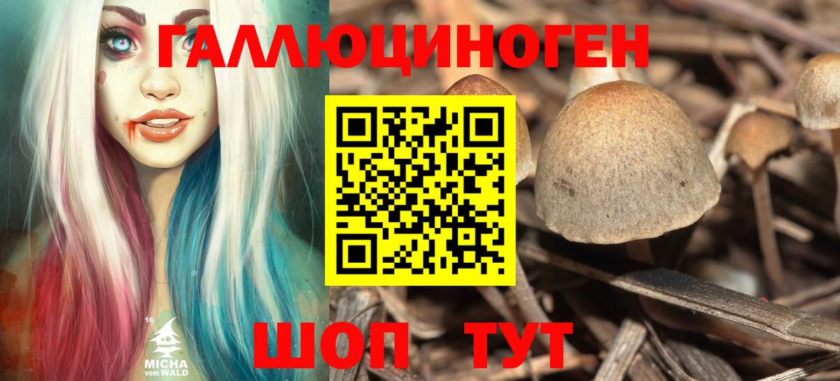 Галлюциногенные грибы MAGIC MUSHROOMS Михайловск